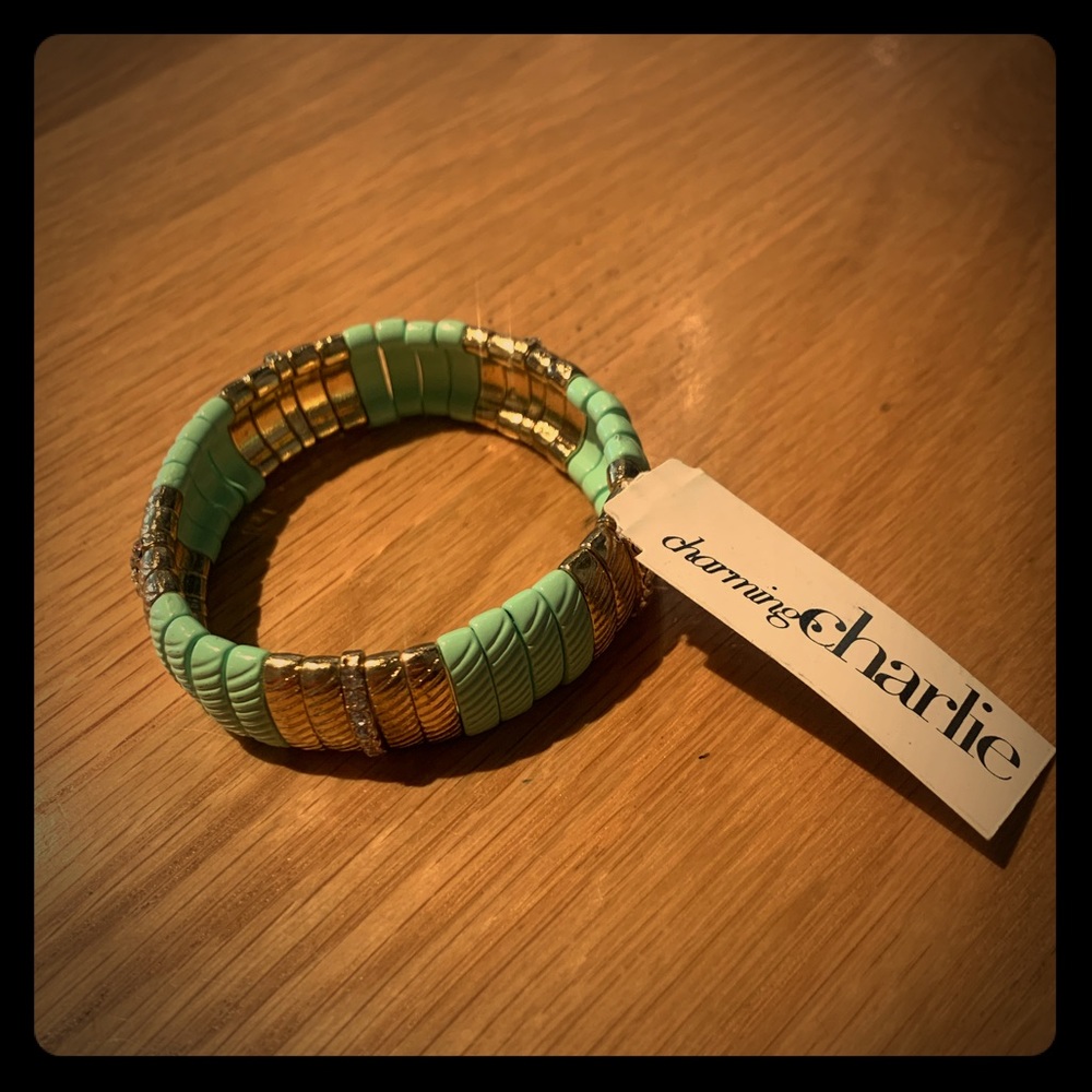 Vintage Charming Charlie Bracelet